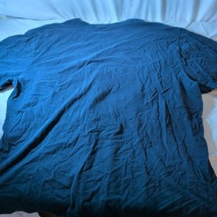 Carhartt Shirt Mens 2XL Blue Short Sleeve Pocket Tee Loose Fit Logo Free Ship!