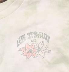 Levi’s Big Girls Oversized Cloud Dye T-Shirt Tee 41M679F Celadon Green Multi L