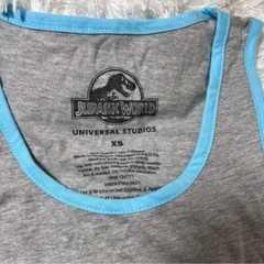 Jurassic World Universal Studios Velocicoaster Raptors Gray Tank Top Shirt – XS