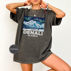 Denali Alaska Aurora Comfort Tee National Park Travel Souvenir