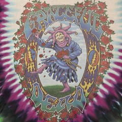 VTG Grateful Dead Seasons of the Dead Tie-Dye T-Shirt Men’s XL Liquid Blue 1993