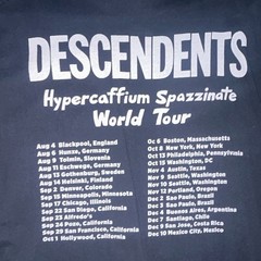 Gildan Heavy Cotton Men’s 2XL Black Descendents Tour Double-Sided Graphic Tee