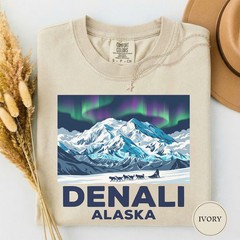Denali Alaska Aurora Comfort Tee National Park Travel Souvenir