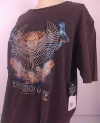 Lee Earth Wind And Fire Brown 2 Sided Graphic SS T Shirt Size M – New. (B3)