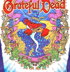 Grateful Dead Terrapin Moon Front/Back Graphic Tie Dye T-Shirt Size Large New