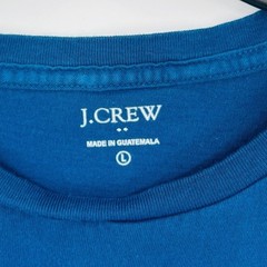 J.Crew Graphic Tee Mens L Blue Nature Calls Mountain Outdoorsy Nature