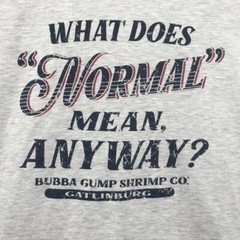 Bubba Gump Mens “What Does Normal Mean Anyway?” T Shirt Gray Size 2X L
