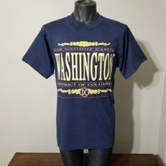 Vintage 90s Washington D.C. Our Nations Capital T-Shirt L Blue Usa Screen Stars