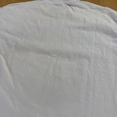 Screeching Weasel – shirt size XL VINTAGE single stitch queers punk See Photos