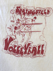Sports by Stedman 1970s Springfield NY Volleyball Team T Shirt VTG READ