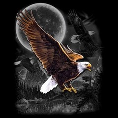 Eagle Wilderness T Shirt Choose Style & Size Up to 4XL 10479