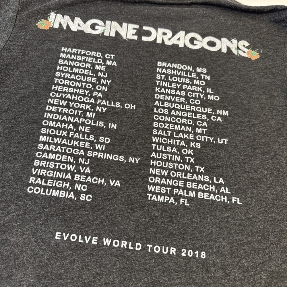 Imagine Dragons Evolve Tour Mens Medium T-Shirt Dark Gray 2018 Concert