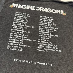 Imagine Dragons Evolve Tour Mens Medium T-Shirt Dark Gray 2018 Concert