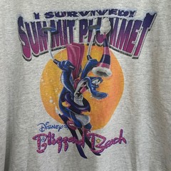 Vintage Disney Blizzard Beach Summit Plummet T Shirt Mens XL Gray Graphic Tee