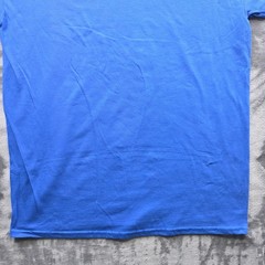 Gildan Pepsi T-Shirt Large Blue Mens Regular Fit Cotton Graphic Logo Soda Pop