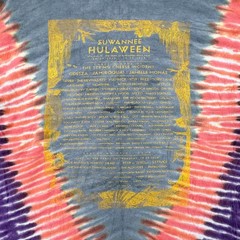 Suwannee Hulaween Shirt Mens Large Tie Dye Music Festival Creature of Galaxy