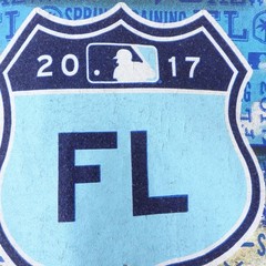 Majestic MLB 2017 Spring Training Florida T-Shirt 3XL Charcoal Heather