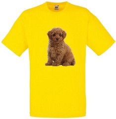 Toy Poodle Brown Dog Pet Family Novelty T Shirt Various Colours And Sizes