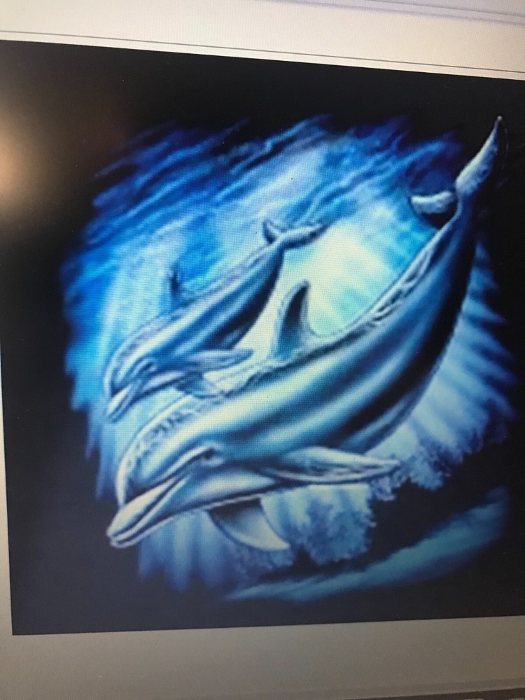NEW T-Shirt: 2 Dolphins (Lots of Sizes & Colors)