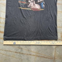 Very Rare 1989 Harley Davidson 3D Emblem “Ridin’ Hogs and Pickin’ Up Chicks Tee”