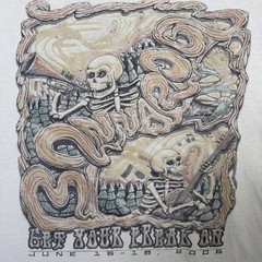 Vintage Bonaroo Shirt Mens Large White Y2K Radiohead Concert 2006 Rare Beck