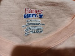Hanes Beefy-T Cotton Plain Crew Neck Short Sleeves Adult T-Shirt Size 3X Salmon