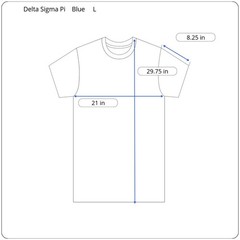 Vintage Delta Sigma Pi Business Fraternity Mens Large Blue Graphic College Shirt