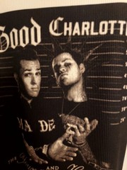 Good Charlotte crop top good charlotte tank top The Young And The Hopeless Shirt