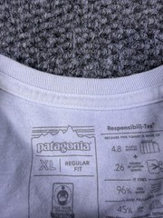 Patagonia Shirt Mens XL White Mountain Logo Graphic Pocket Tee Regular Fit