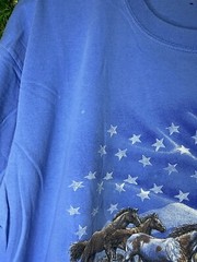 Vintage United States Flag Horses Art Nature T-Shirt XL Blue Outdoor Animal SEE