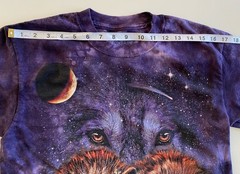 2 The Mountain T-Shirts Tami Alba -Wolves & Bergamo -Against All Odds Bison Sz S