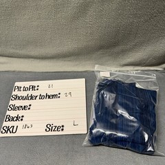 Smartwool Shirt Mens Large Merino Wool Crew Neck Blue Striped Base Layer