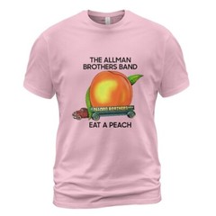 Rare 1970s 70s The Allman Brothers Eat A Peach Light Blue T shirt