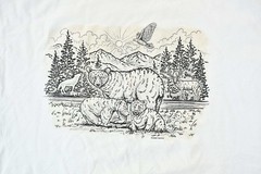 Vintage 1990s Great Wolf Lodge Niagara Falls Canada Single Stitch Souvenir Graph