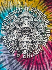 XL LSDream Choose Your Adventure V.2 Tie Dye Double-Sided Graphic Print T-Shirt