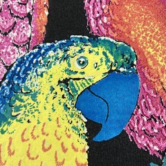 Vintage 1992 Isle of Capri Exotic Birds bright graphic single stitch tee Hanes M