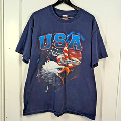 Vintage Y2K USA Flag Bald Eagle Fighter Jet Fruit of the Loom Blue T-Shirt Sz XL