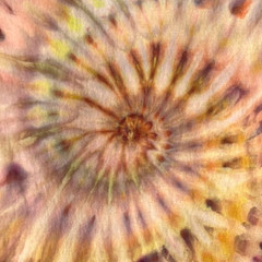 NEW Spiral Ice Tie Dye T-Shirt, Unisex L SS, Pastels