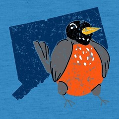Connecticut State Bird – Classic City Animal Lover T Shirt – Heather Sapphire