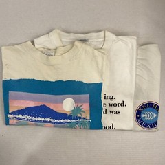 Wholesale Lot of 30 Vintage Short Sleeve Tee Shirts (Sizes In Description)