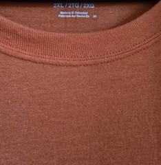 Hanes ComfortBlend T-Shirt (Orange, Size 2XL)