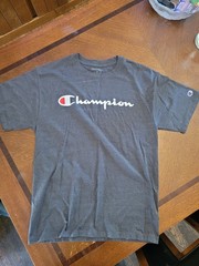 Champion Classic Jersey Script T-Shirt for Men, Size M – Gray