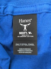 Hanes Beefy T Heavyweight Cotton Short Sleeve Men T Shirt 2 Pack 2XLT Deep Royal