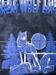 Spirit Jersey Great Wolf Lodge Men 2XL Shirt Long Sleeve Navy Tie Dye Wolf