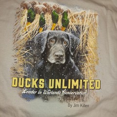 Ducks Unlimited NWT Leader in Wetlands Conservation 3XL Jim Killen Winter Scene