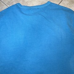 Polo Ralph Lauren RL Surf Riders Graphic T Shirt Mens L Classic Fit Blue NWT
