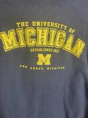 Vintage 90s University Of Michigan At Ann Arbor Crewneck Sweatshirt Adult 2XL