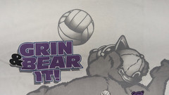 Grateful Dead Bears Volleyball T-Shirt M Medium Vintage 1997 Joe Blow T’S Delta