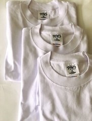 6 Pack Shaka wear t shirt heavyweight