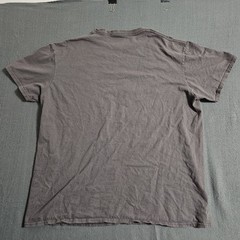 The Flash XL 2020 Flash Logo Faded Black Graphic Short Sleeve T-Shirt